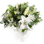 Lily Love