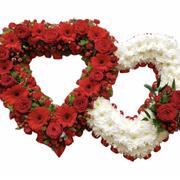Entwined Hearts (Double Open Heart)
