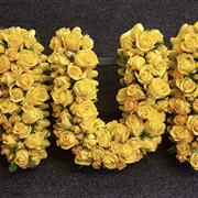Rose letters 