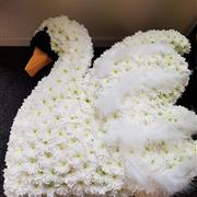 Swan Funeral Tribute