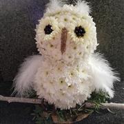 Owl Funeral Tribute 