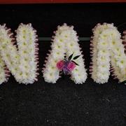 Nan Tribute