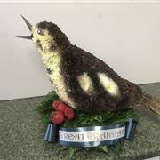 WBA Bird 3d