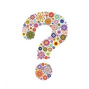 Florist Choice - Let us choose for you!