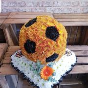 3D Football Tribute